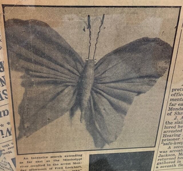 The butterfly, the man's butterfly